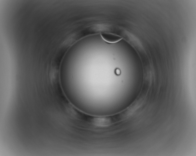 X0000113890281200910011329