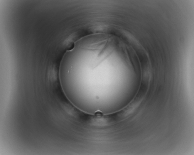 X0000113890282200910011329