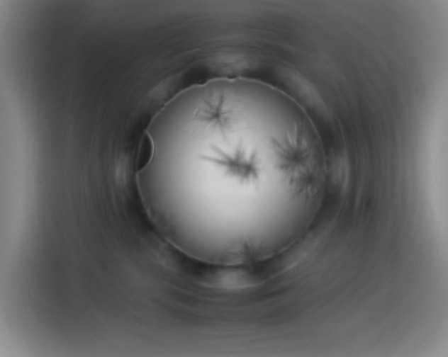 X0000113890283200910011329