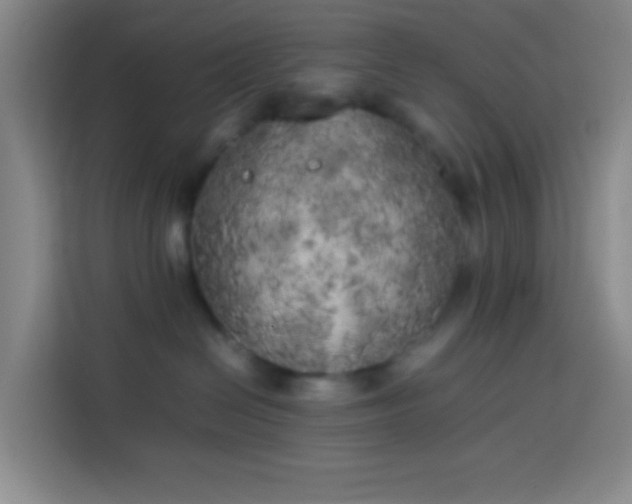 X0000113890286200910011329