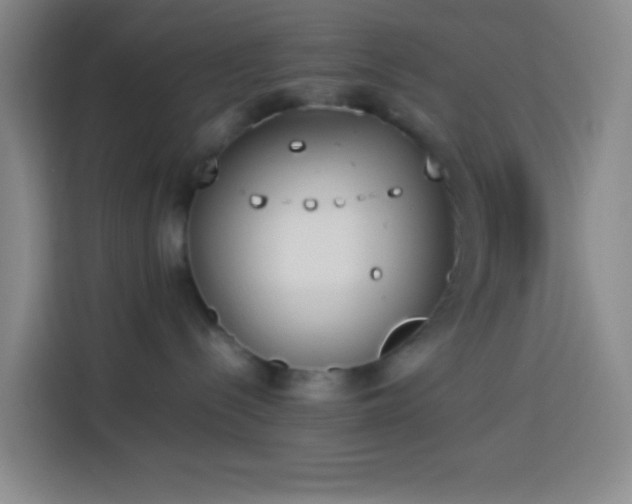 X0000113890288200910011329