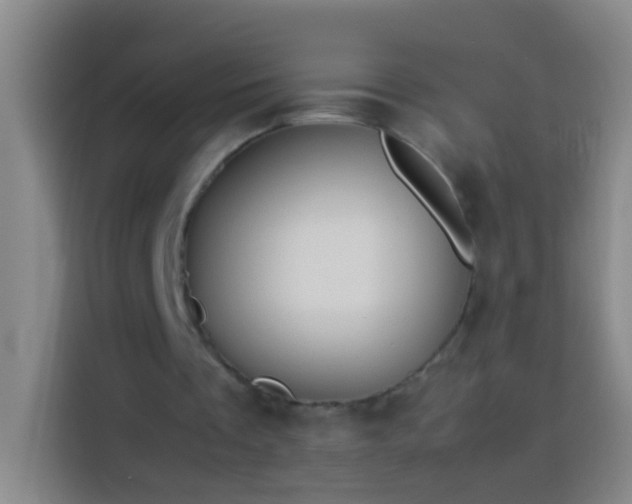 X0000113890289200910011328