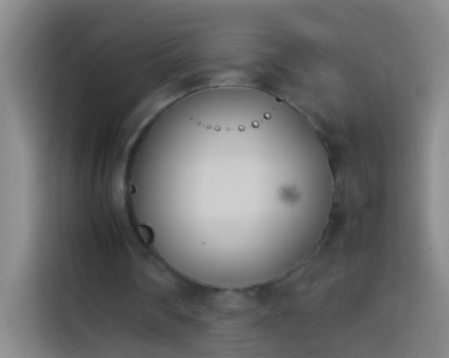 X0000113890290200910011328