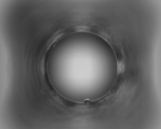 X0000113890291200910011328