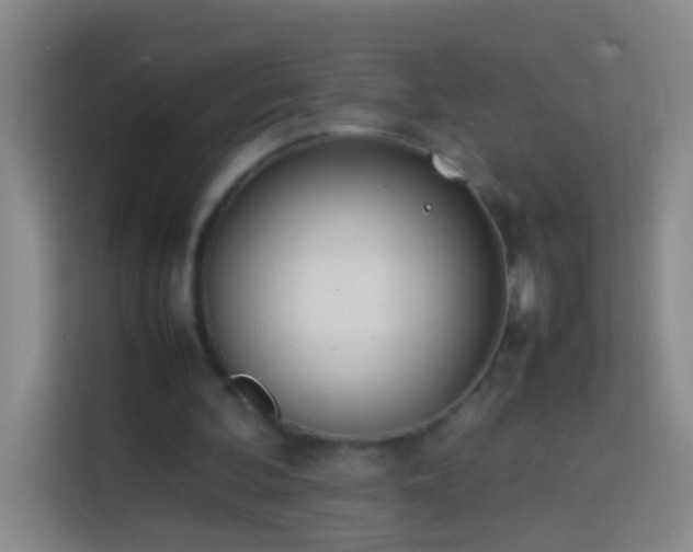 X0000113890292200910011328