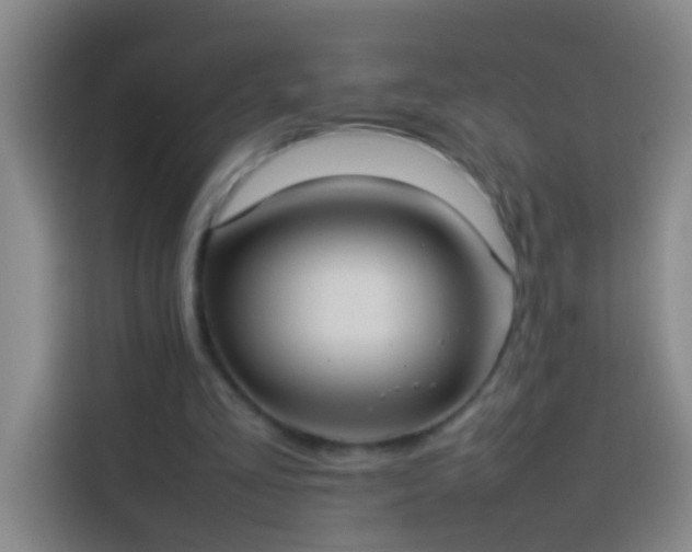 X0000113890293200910011328