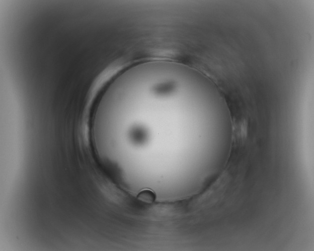 X0000113890294200910011328