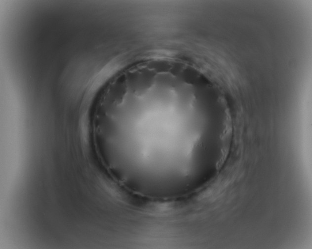 X0000113890295200910011328