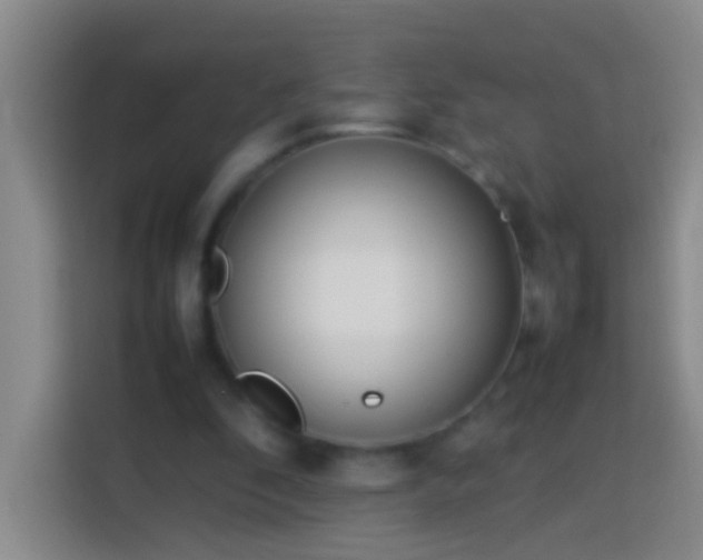 X0000113890296200910011328