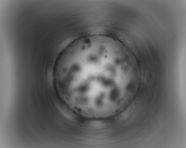 X0000113890298200910011328