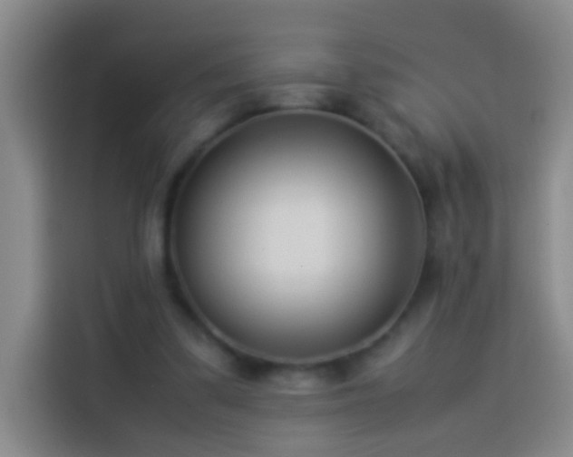 X0000113890299200910011328