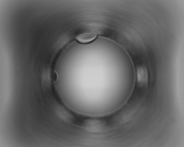 X0000113890300200910011328