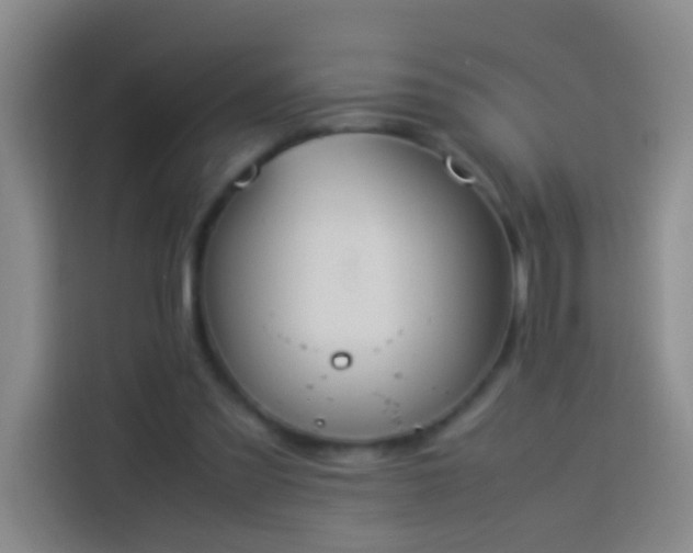 X0000113890301200910011328