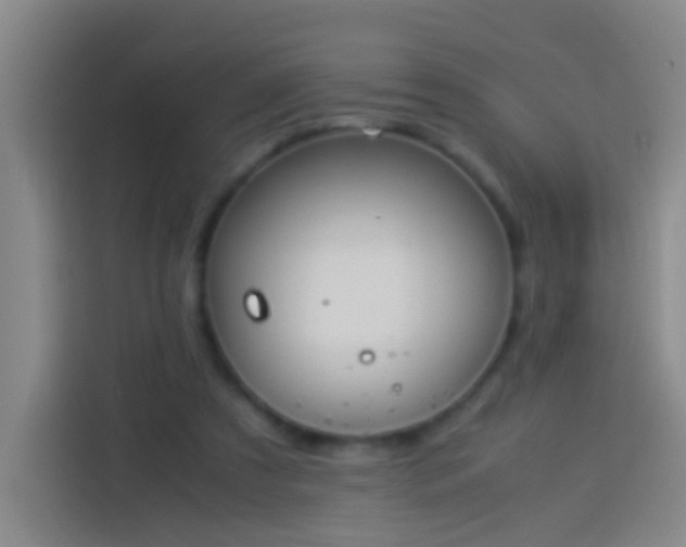 X0000113890305200910011328