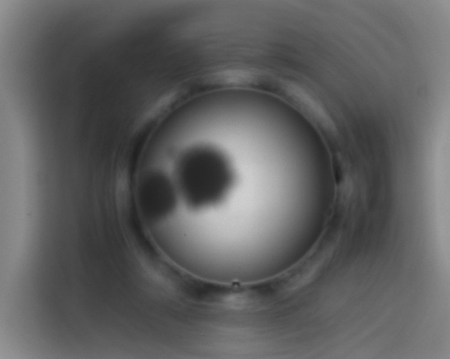 X0000113890306200910011328