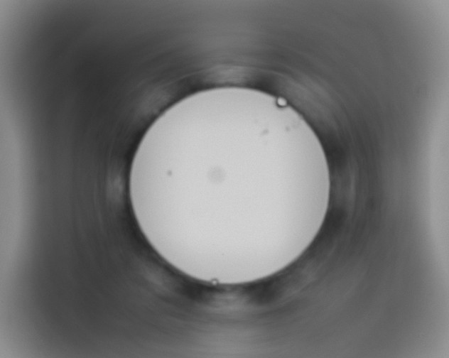 X0000113890309200910011328