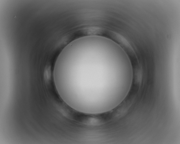 X0000113890310200910011328