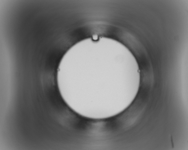 X0000113890313200910011328