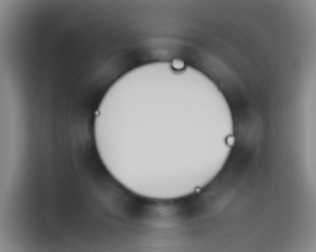 X0000113890317200910011328