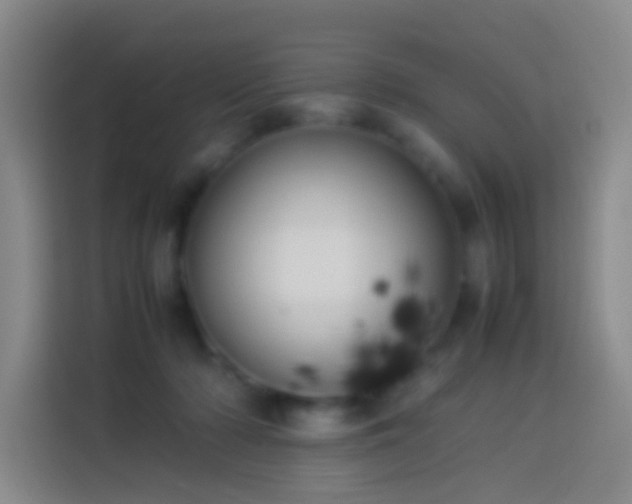 X0000113890318200910011328