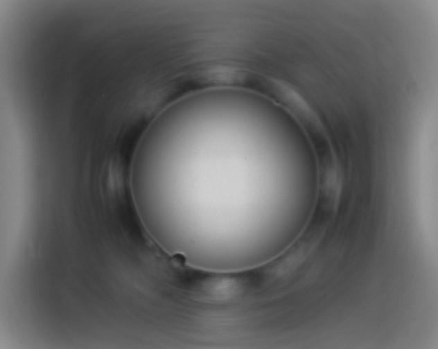 X0000113890326200910011328