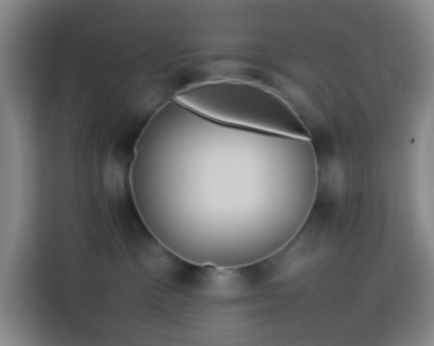 X0000113890333200910011327