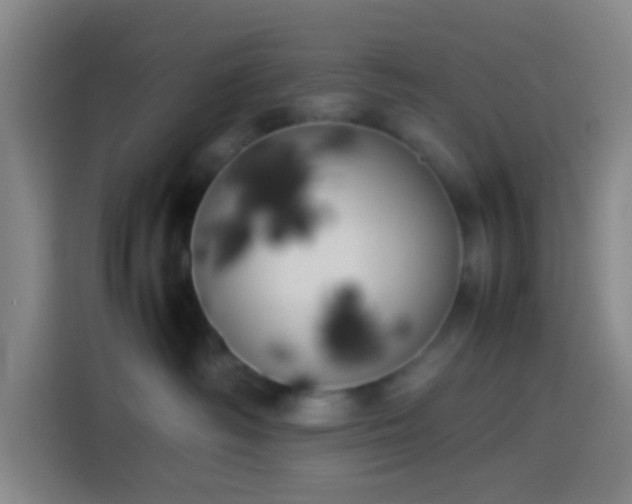 X0000113890334200910011327