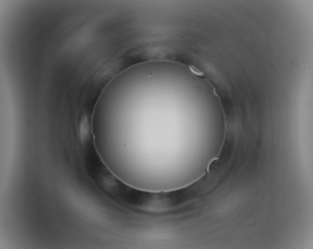 X0000113890335200910011327