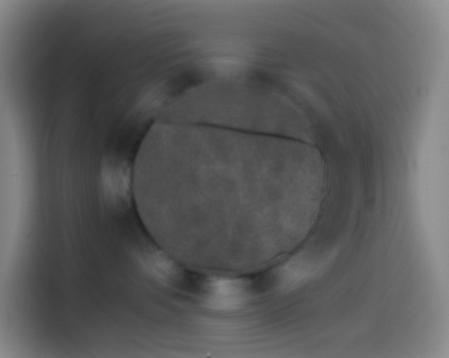 X0000113890336200910011327