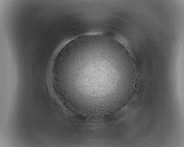 X0000113890337200910011327