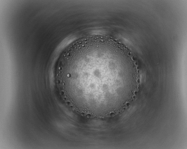 X0000113890339200910011327