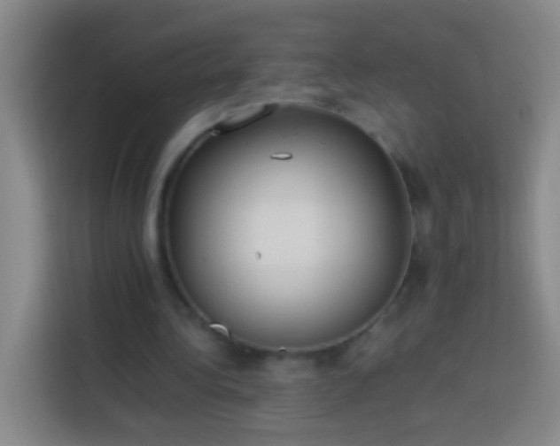 X0000113890340200910011327