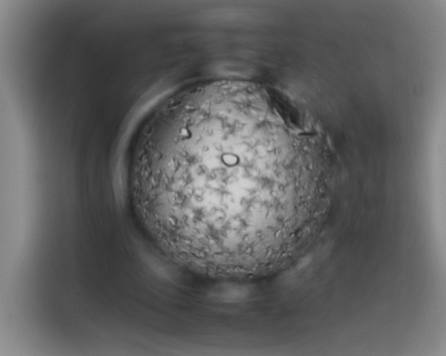X0000113890343200910011327
