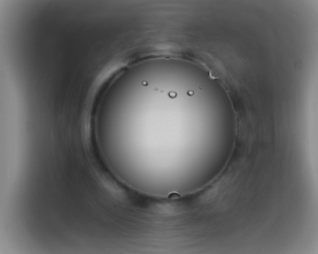 X0000113890344200910011327