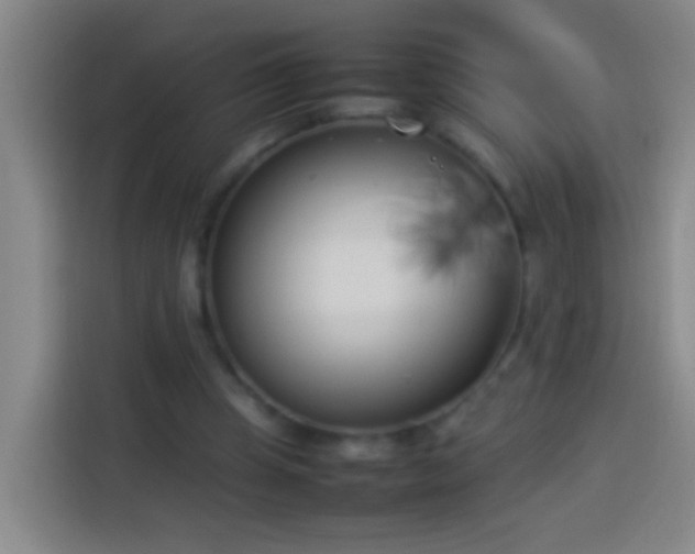 X0000113890345200910011327