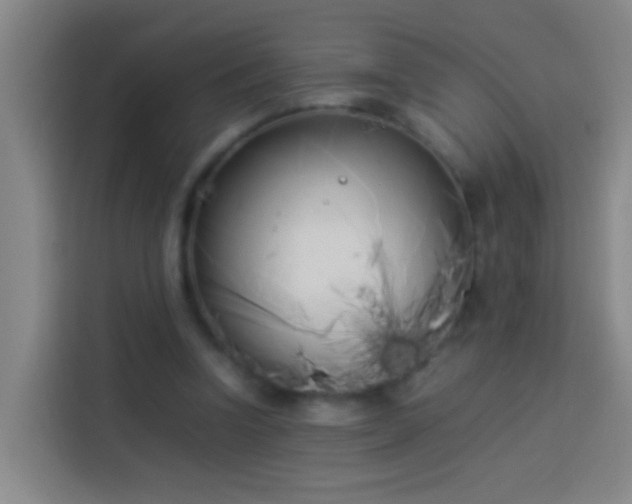 X0000113890346200910011327