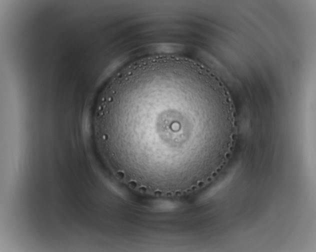 X0000113890347200910011327