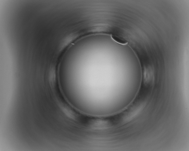 X0000113890348200910011327