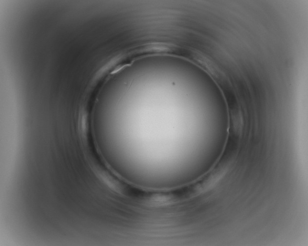 X0000113890350200910011327