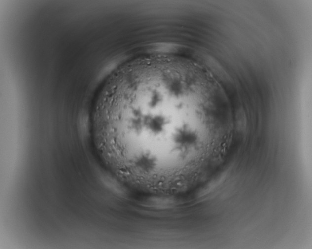 X0000113890351200910011327