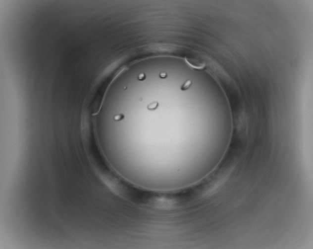 X0000113890352200910011327