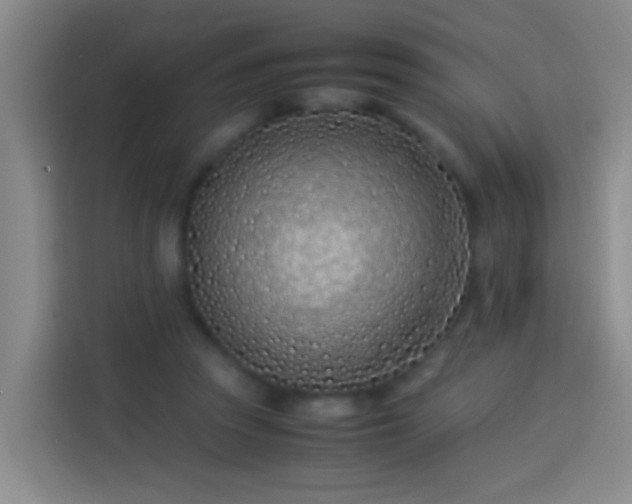 X0000113890353200910011327