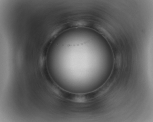 X0000113890355200910011327