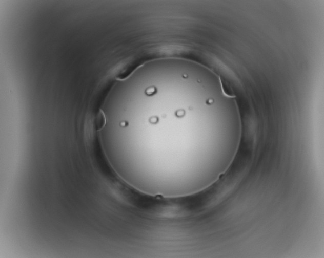 X0000113890356200910011327