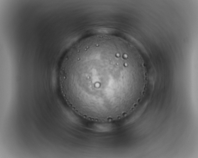 X0000113890359200910011327