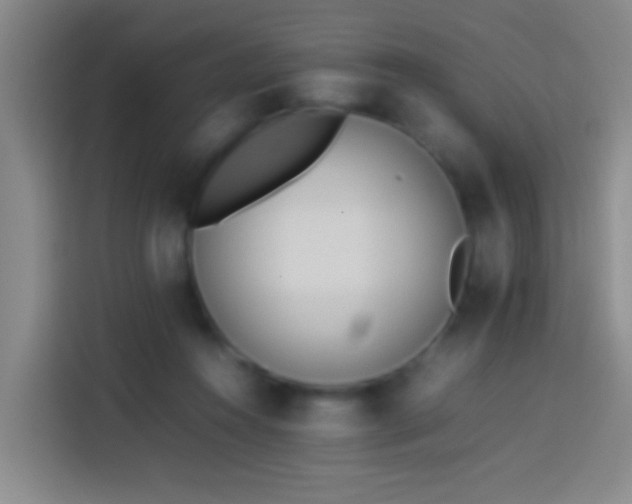 X0000113890360200910011327