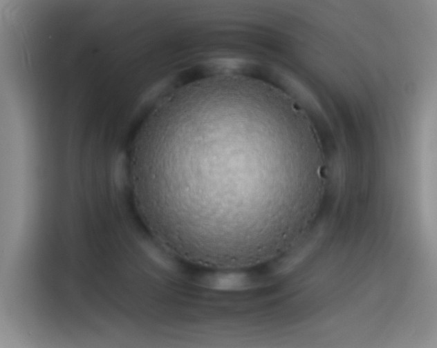 X0000113890361200910011327