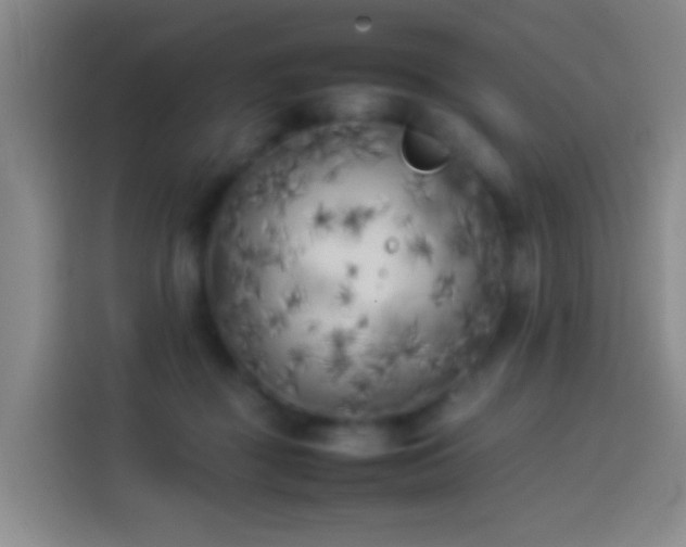 X0000113890363200910011327