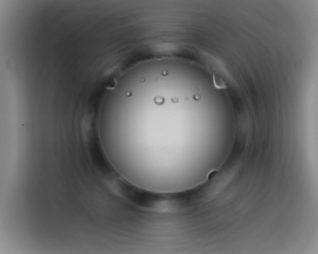 X0000113890364200910011327