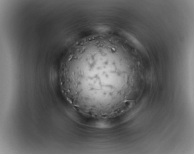 X0000113890365200910011327